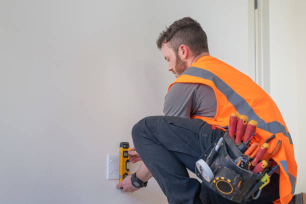 Best Electric Panel Repair  in North Fond Du Lac, WI